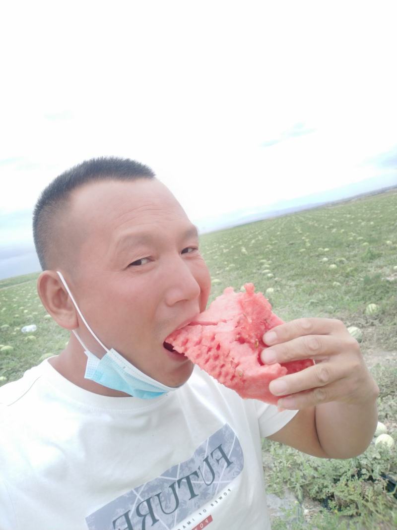 宁夏兴仁沙坡头石头瓜，双红瓤甜度十三四个，皮帽干净漂亮