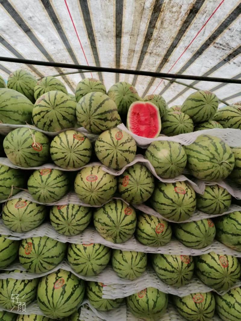 宁夏兴仁沙坡头石头瓜，双红瓤甜度十三四个，皮帽干净漂亮