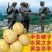 湖南文明半条被子水果之乡黄金奈李一件代发