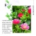 牡丹吊兰四季开花净化空气可以食用多年生垂吊阳台庭院绿植盆