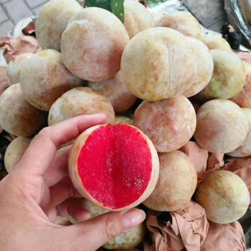 湖南文明半条被子水果之乡苹果李一件代发
