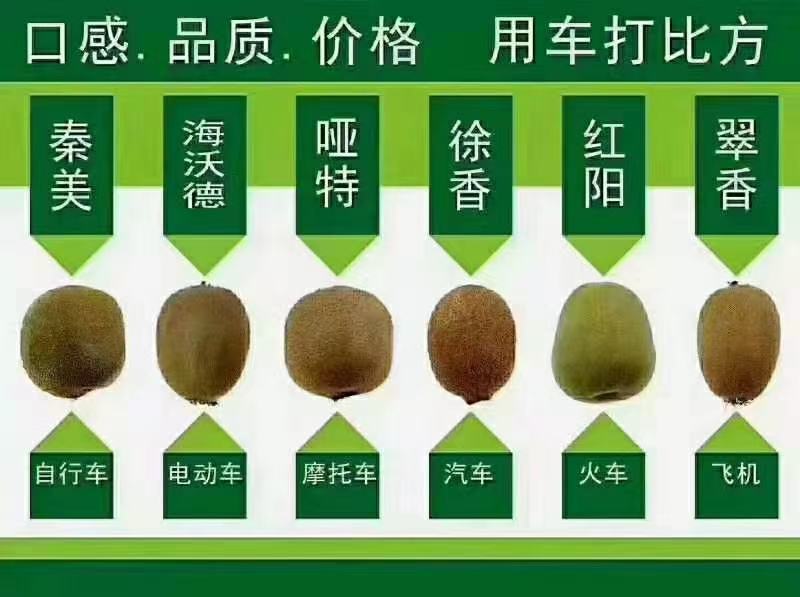 徐香猕猴桃
