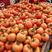 大红西红柿，可对接商超，货品充足，一手货源包装齐全