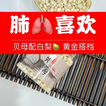 【贝母】长白山贝母林下平贝母贝母粉现货包邮