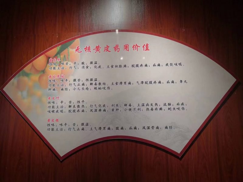 中华名果，优质无核黄皮