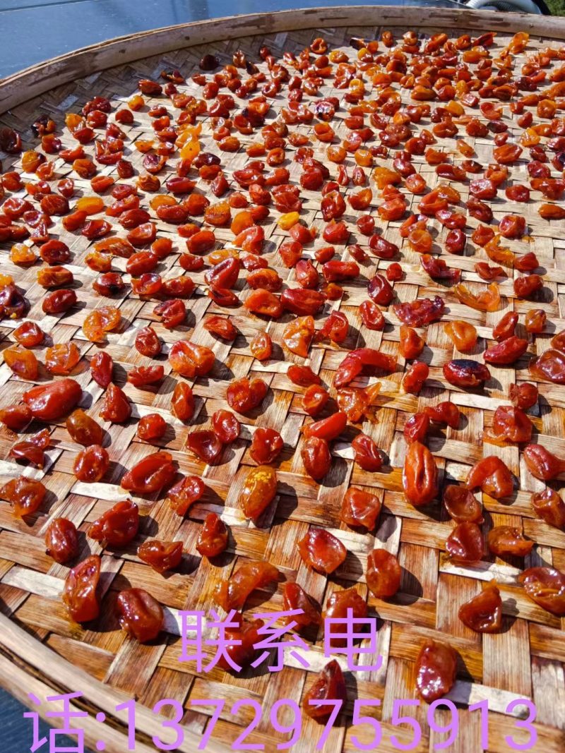 中华名果，优质无核黄皮