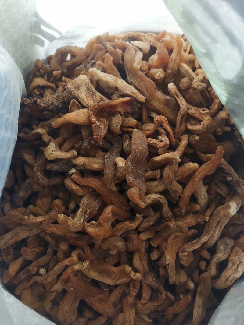野生黄精鲜货，干货，九制成品量大从优对接全国