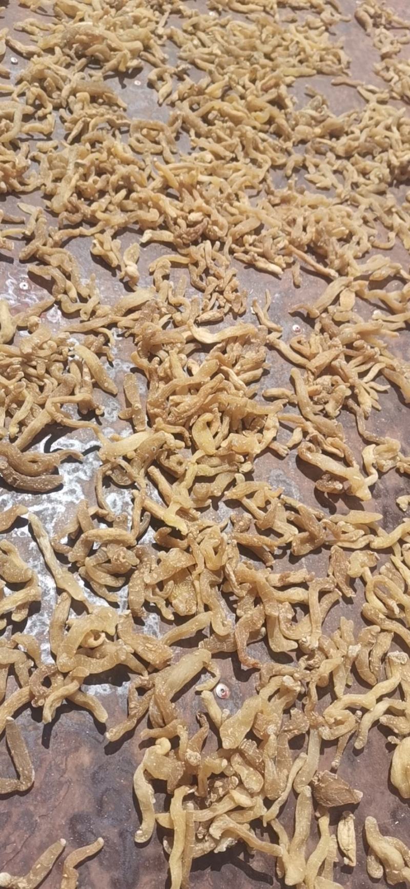 野生黄精鲜货，干货，九制成品量大从优对接全国