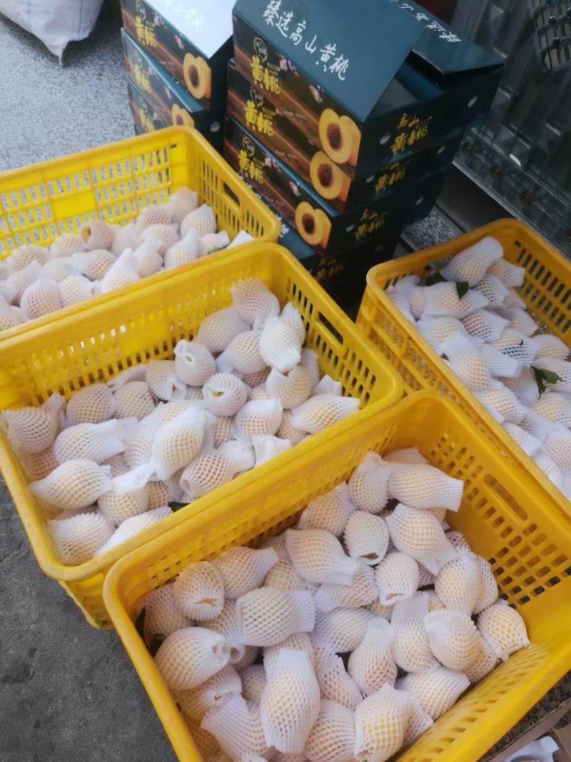 炎陵黄桃大量上市产地直发保证质量欢迎随时联系