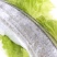 黄金带鱼段东海钓带鱼黄嘴黄鳍鱼新鲜礼盒批发供应