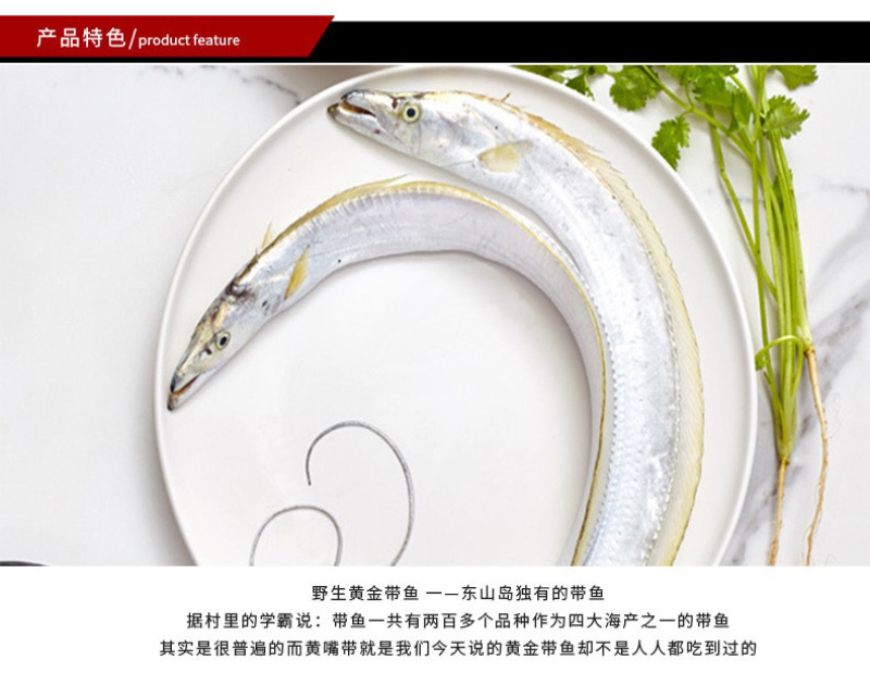 黄金带鱼段东海钓带鱼黄嘴黄鳍鱼新鲜礼盒批发供应