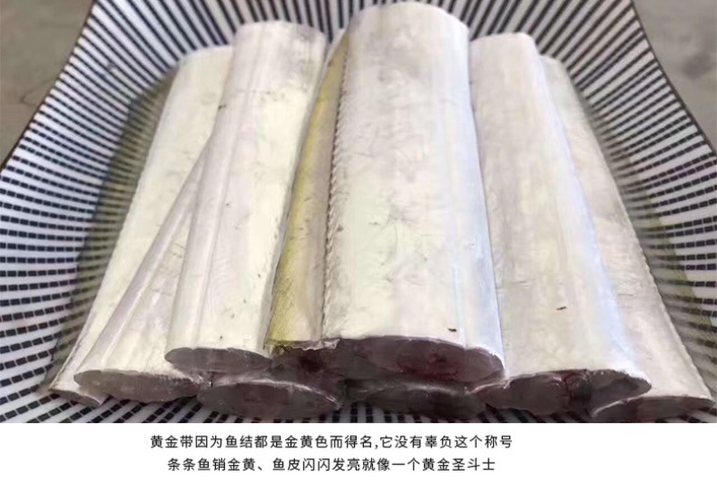 黄金带鱼段东海钓带鱼黄嘴黄鳍鱼新鲜礼盒批发供应