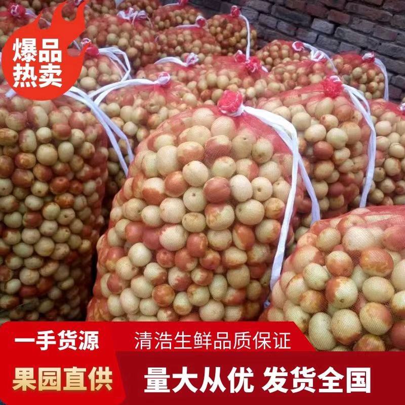 山东鲜枣沾化冬枣鲜枣基地，现摘现发，脆甜可口，对接平台