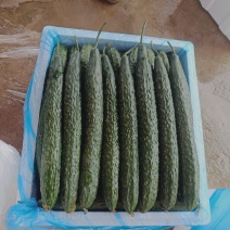 黄瓜