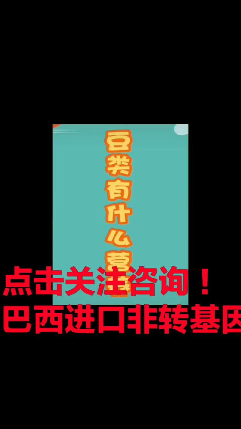大量提供进口非转基因大豆品质优良可长期供货1000吨起