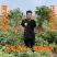 精品观赏牡丹菏泽基地直发品种多保开花保对版保成活