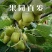 沐川生态猕猴桃