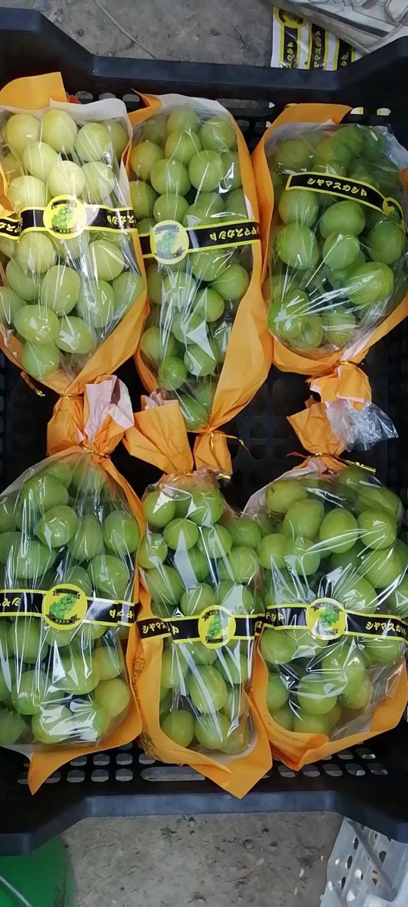 电商葡萄精品阳光玫瑰葡萄，晴王葡萄大量上市代发全国