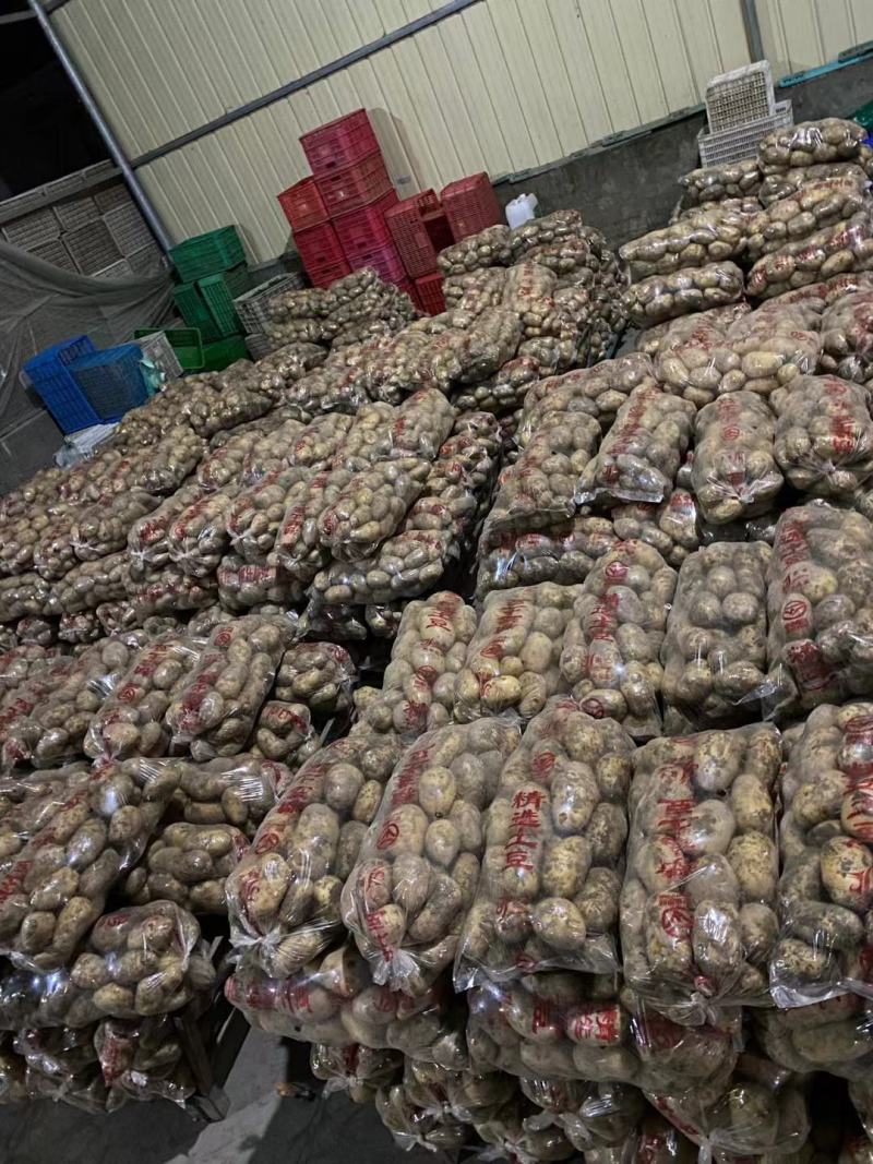 精品黄心土豆
