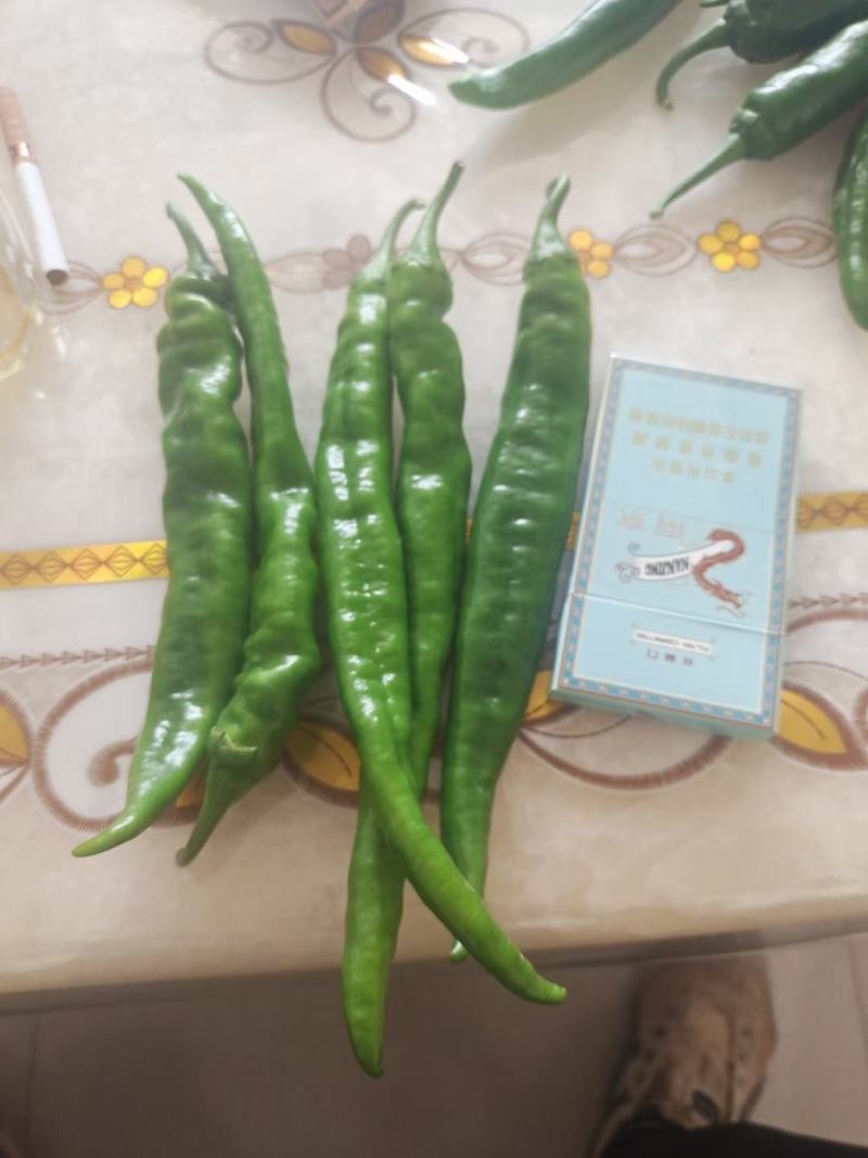线椒全部现货产地直发一手货源