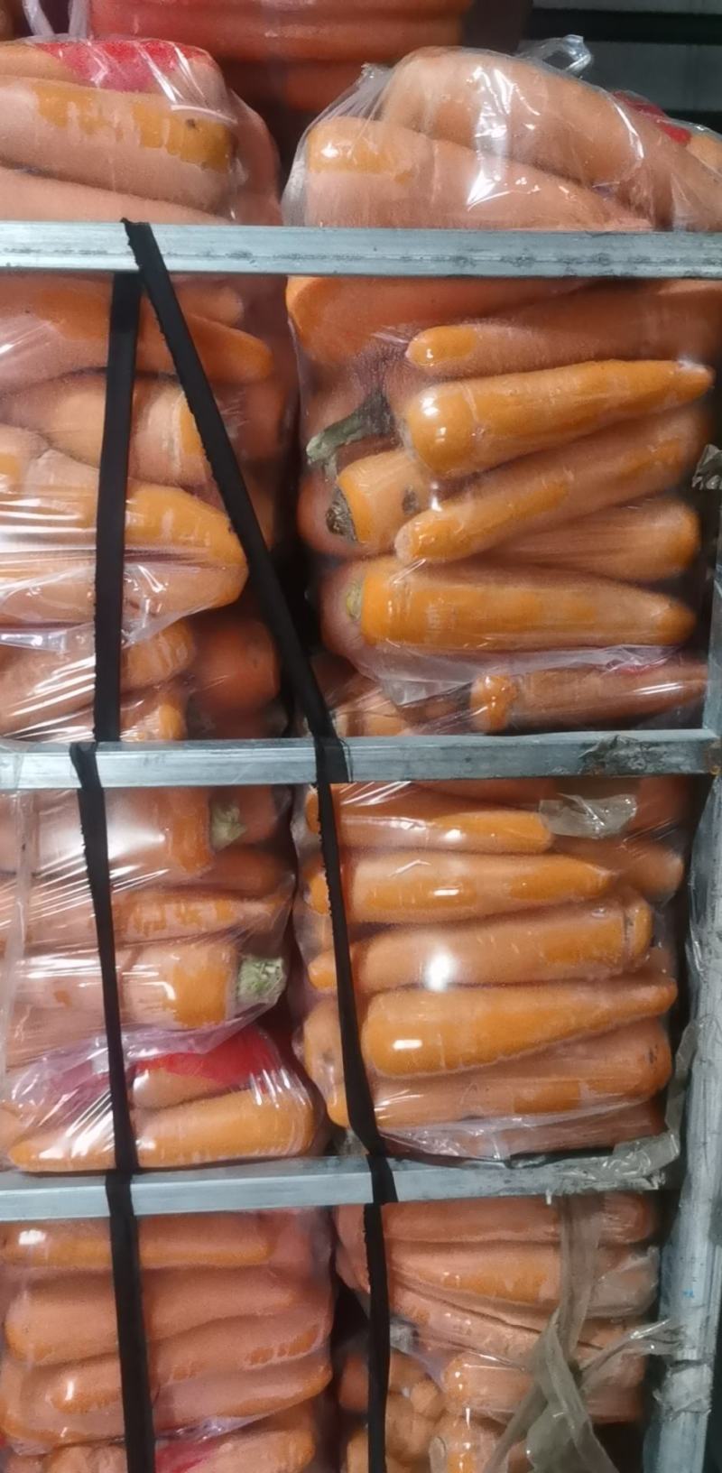水洗次品胡萝卜20斤包装