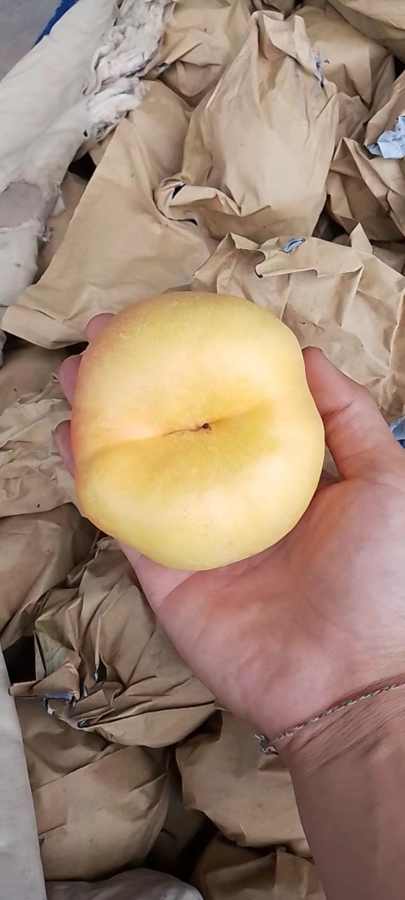 中蟠七纸袋蟠桃7