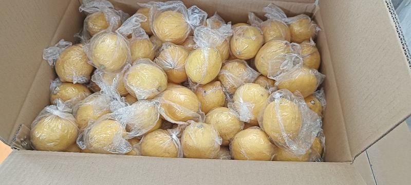 安岳黄柠檬，酸爽多汁