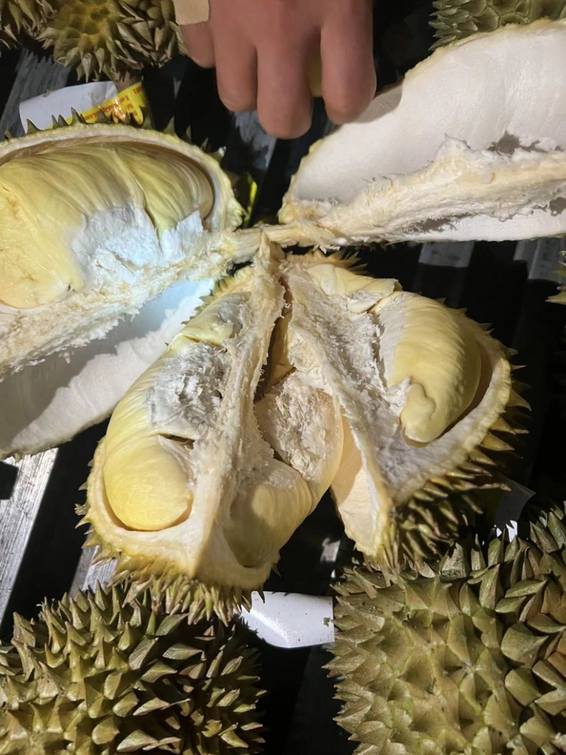 金枕头榴莲批发便宜地摊货新老店铺做活动