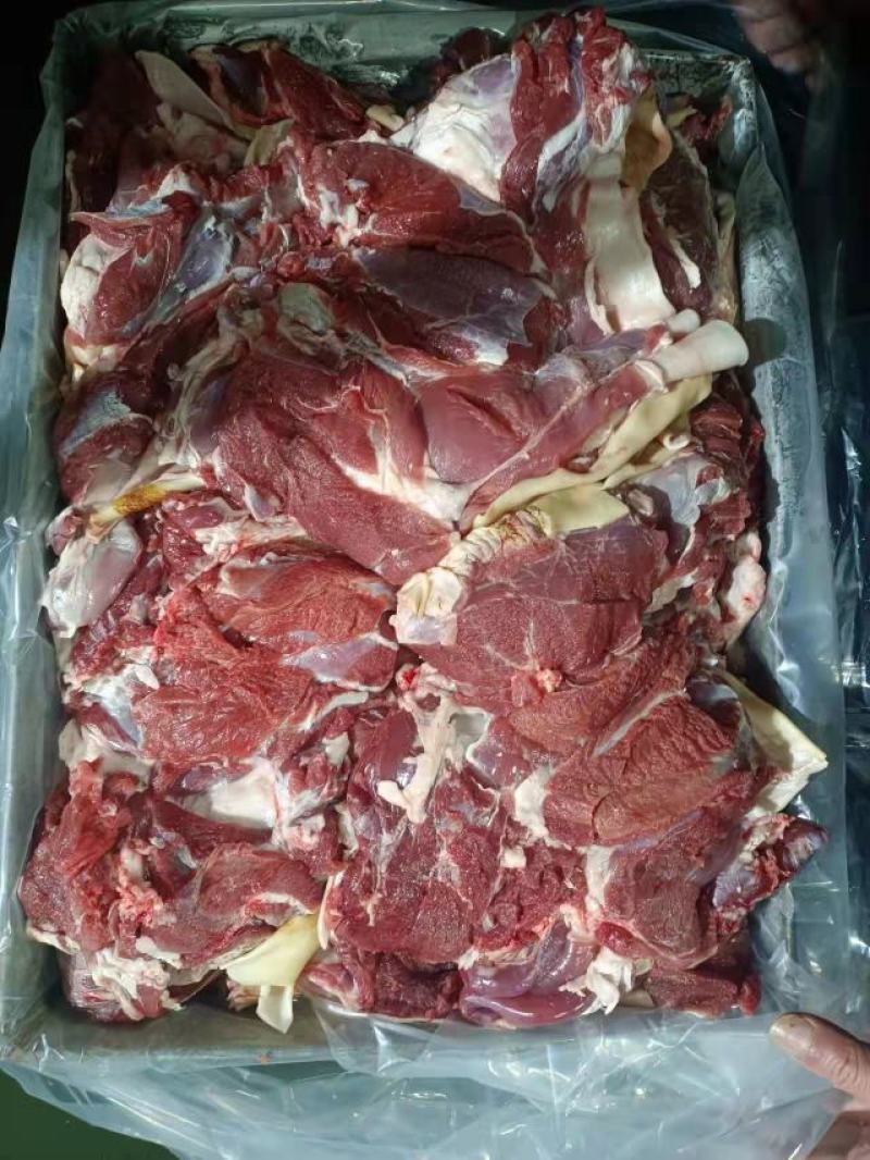 内蒙古草原羊整支羊剔肉，山东，河北羊剃肉纯干货，精修油
