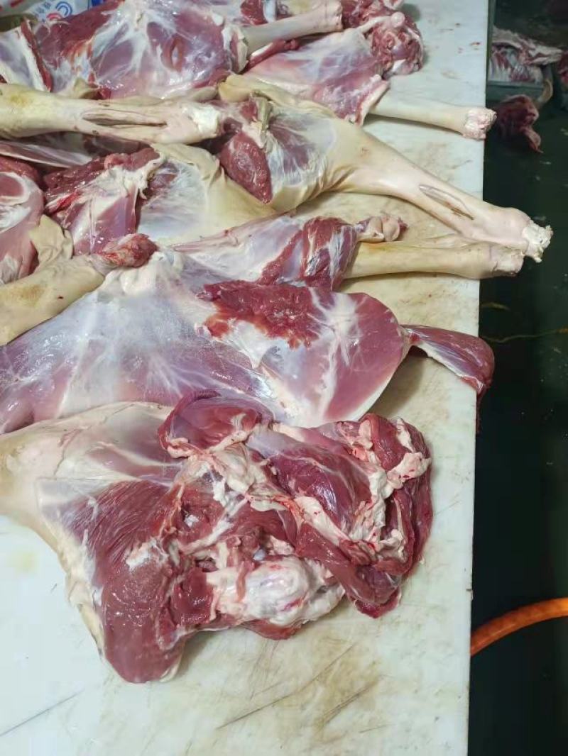 内蒙古草原羊整支羊剔肉，山东，河北羊剃肉纯干货，精修油