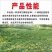 除草剂23%草铵膦精喹禾灵乙羧氟草醚三元复果园杂草除草剂