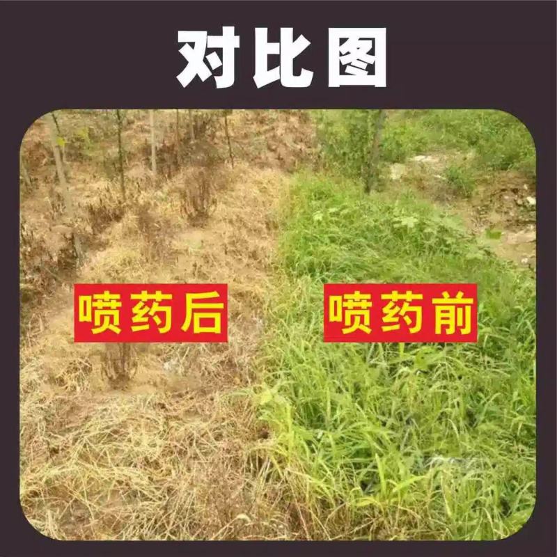除草剂23%草铵膦精喹禾灵乙羧氟草醚三元复果园杂草除草剂