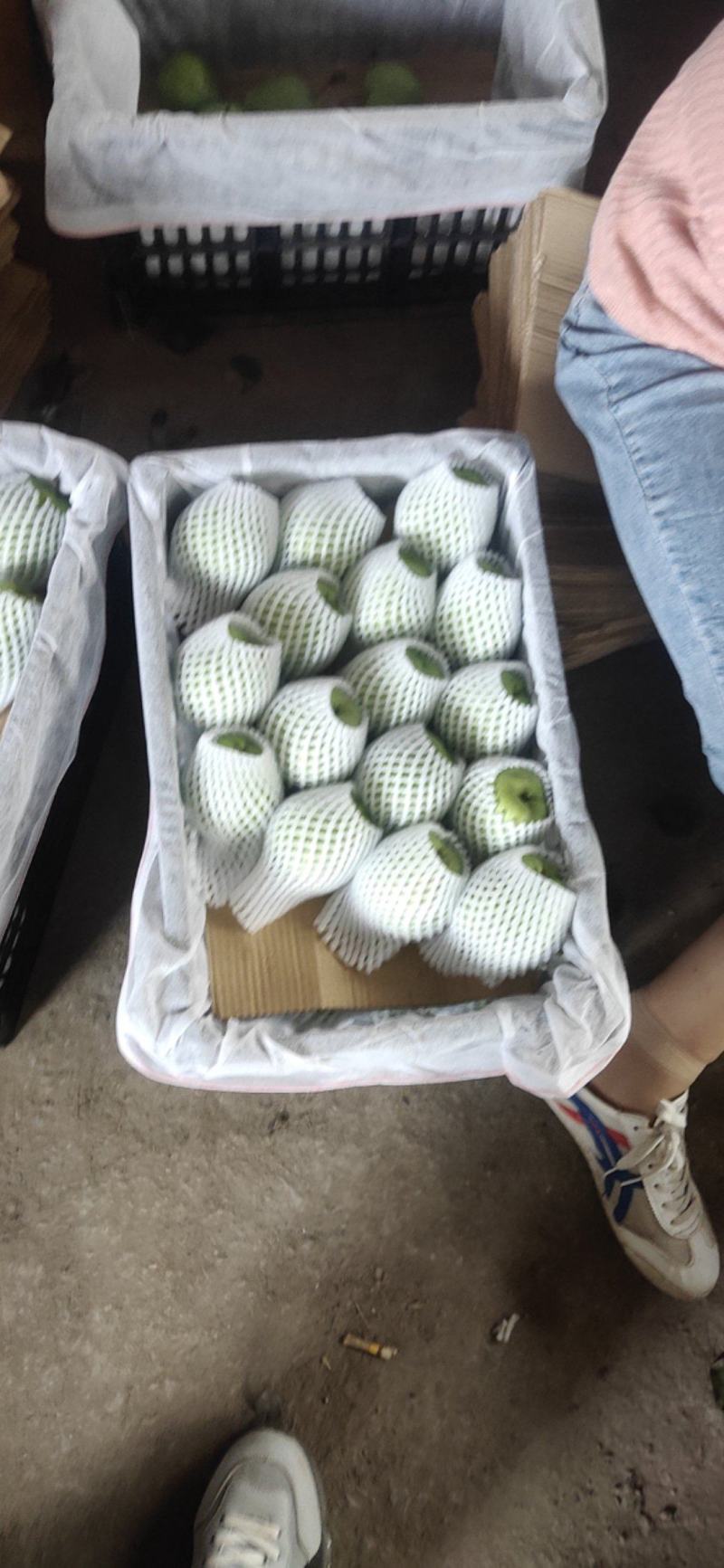 【牛商优选】山西早酥梨，清脆甘甜，产地直发，诚信经营