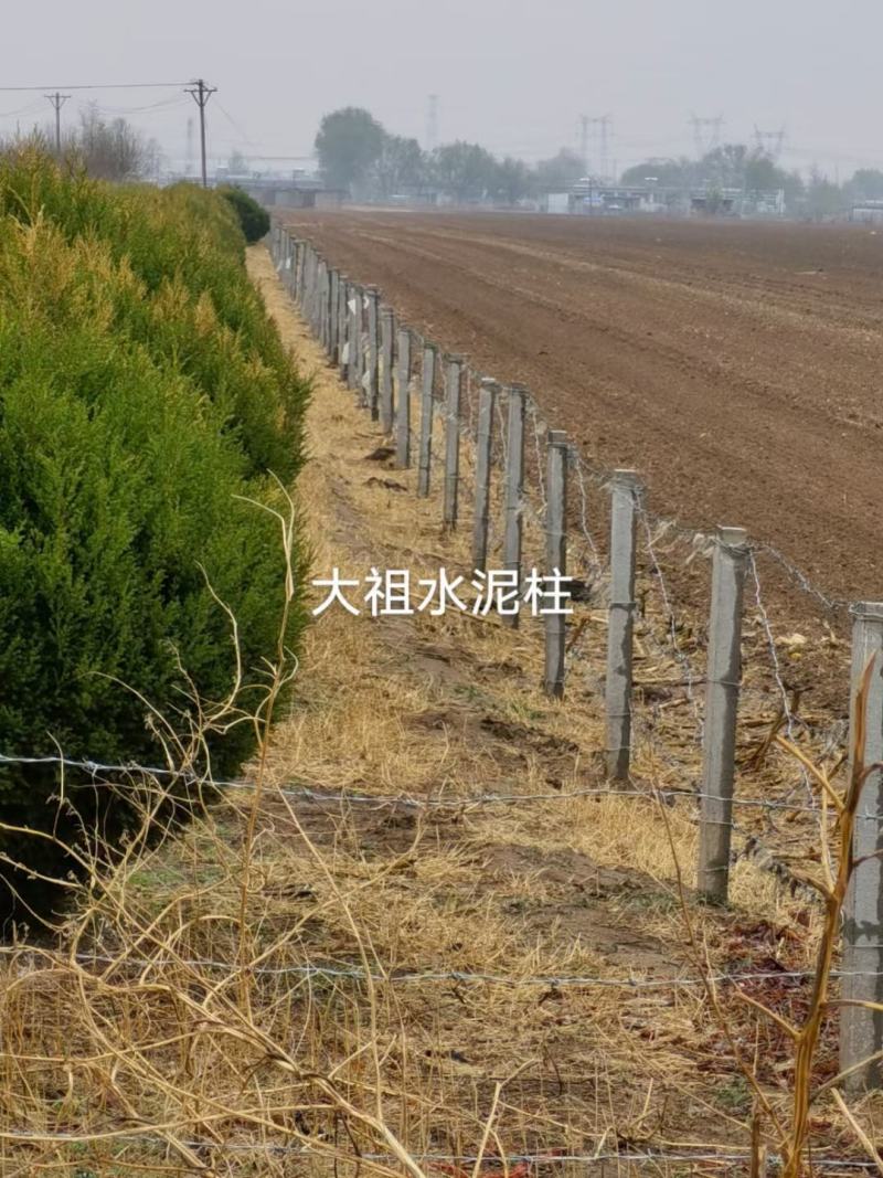 水泥立柱，水泥桩，葡萄架杆