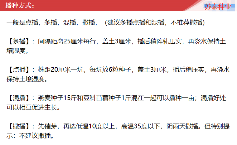 饲用燕麦种子养殖牧草耐寒种籽高产鱼饲料草籽绿肥牛羊草种籽