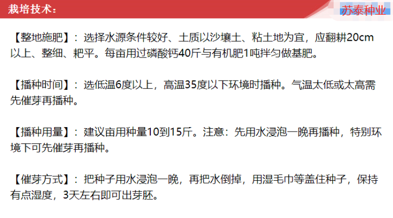 饲用燕麦种子养殖牧草耐寒种籽高产鱼饲料草籽绿肥牛羊草种籽