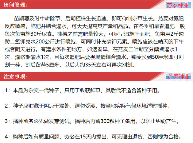 饲用燕麦种子养殖牧草耐寒种籽高产鱼饲料草籽绿肥牛羊草种籽