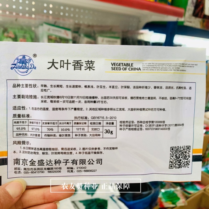金盛达大叶香菜种子早熟生长速度快香味浓耐寒香菜种籽