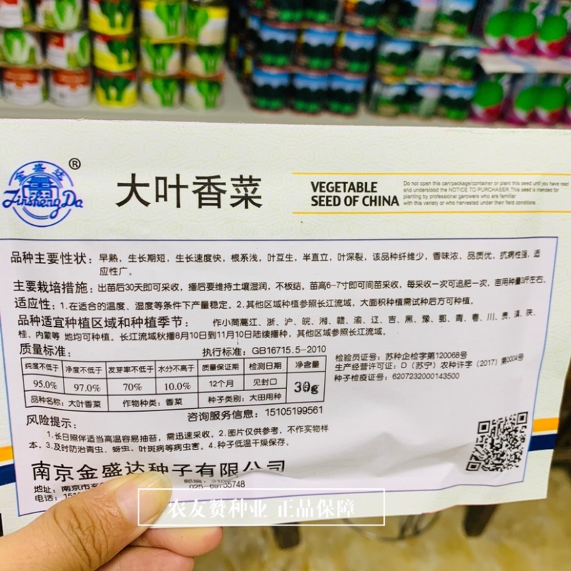金盛达大叶香菜种子早熟生长速度快香味浓耐寒香菜种籽