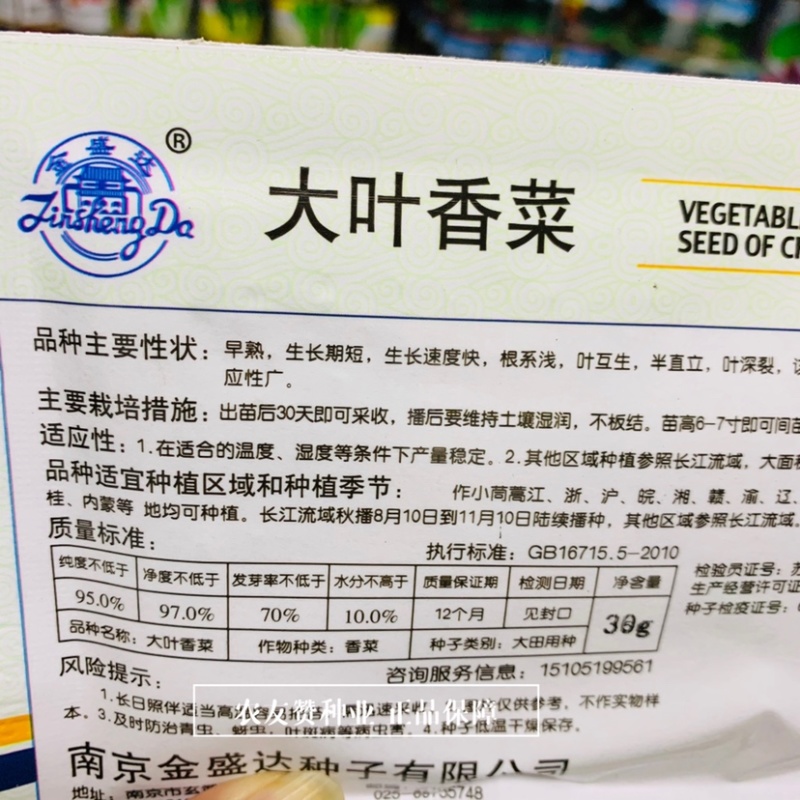 金盛达大叶香菜种子早熟生长速度快香味浓耐寒香菜种籽