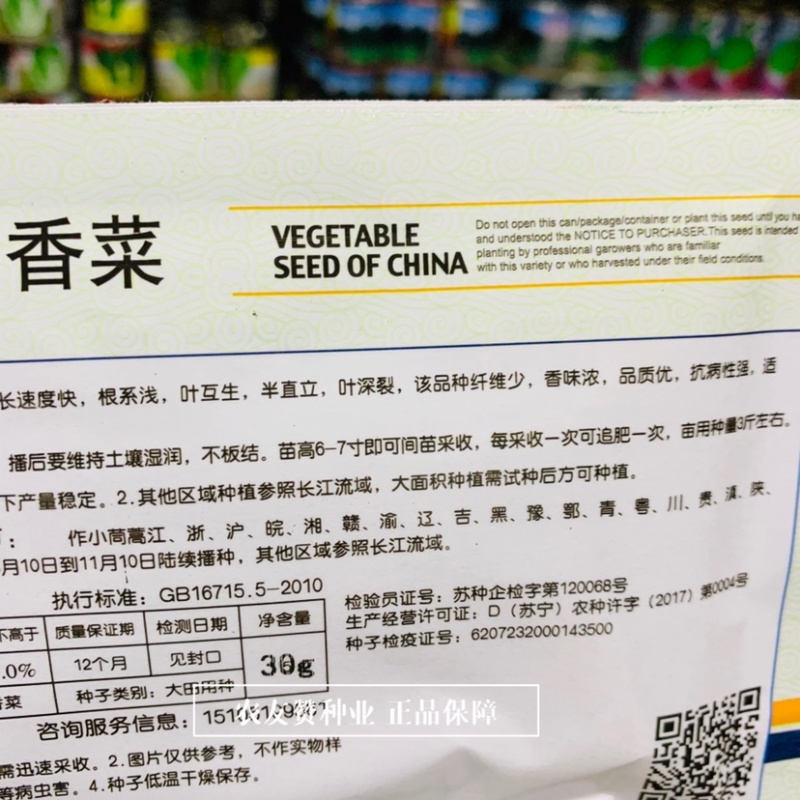 金盛达大叶香菜种子早熟生长速度快香味浓耐寒香菜种籽