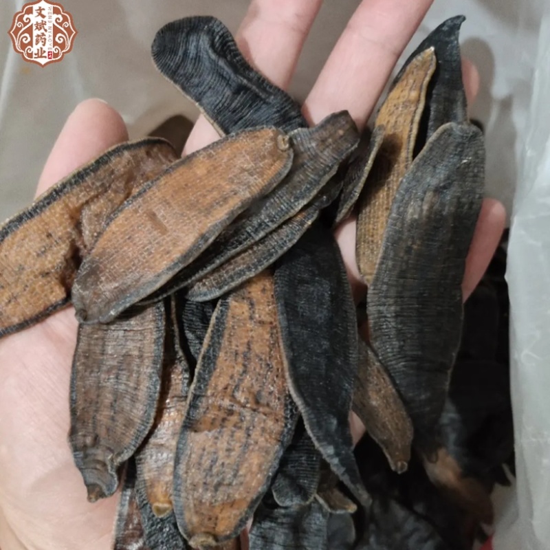 【文斌药业】水蛭宽体。清水吊干水蛭两种规格