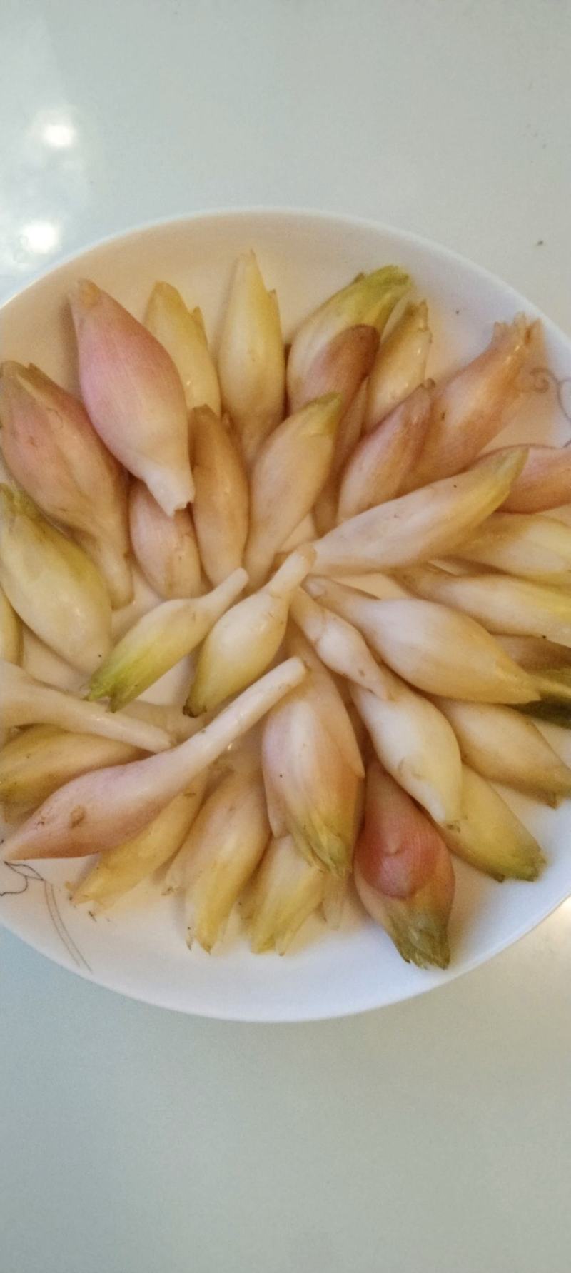 白阳荷又名青药荷，口感软嫩，清香