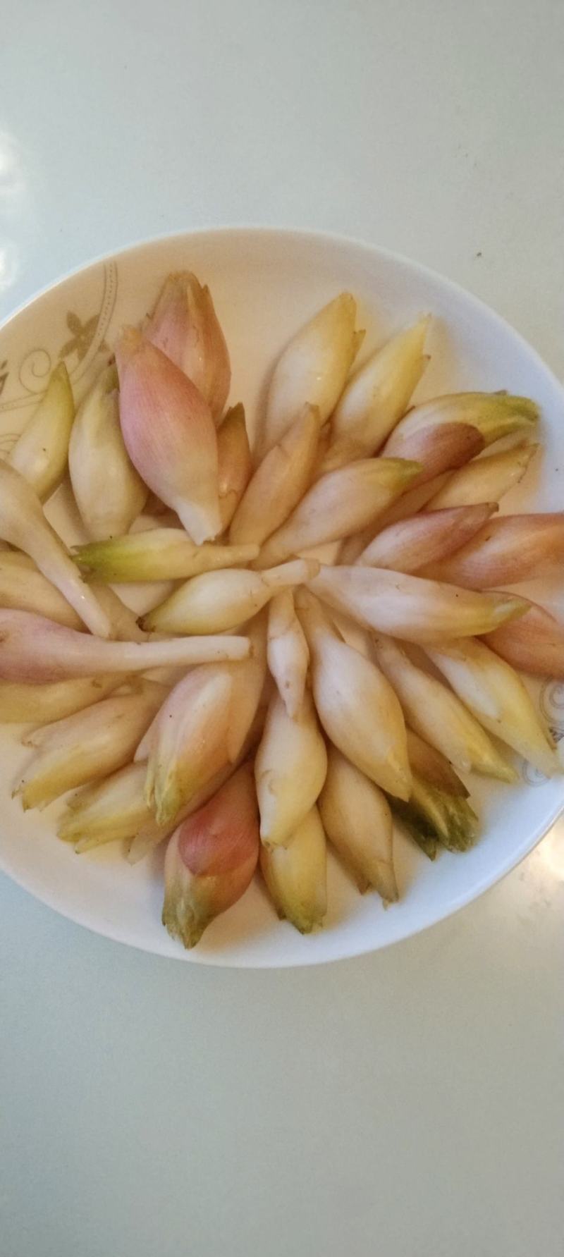 白阳荷又名青药荷，口感软嫩，清香