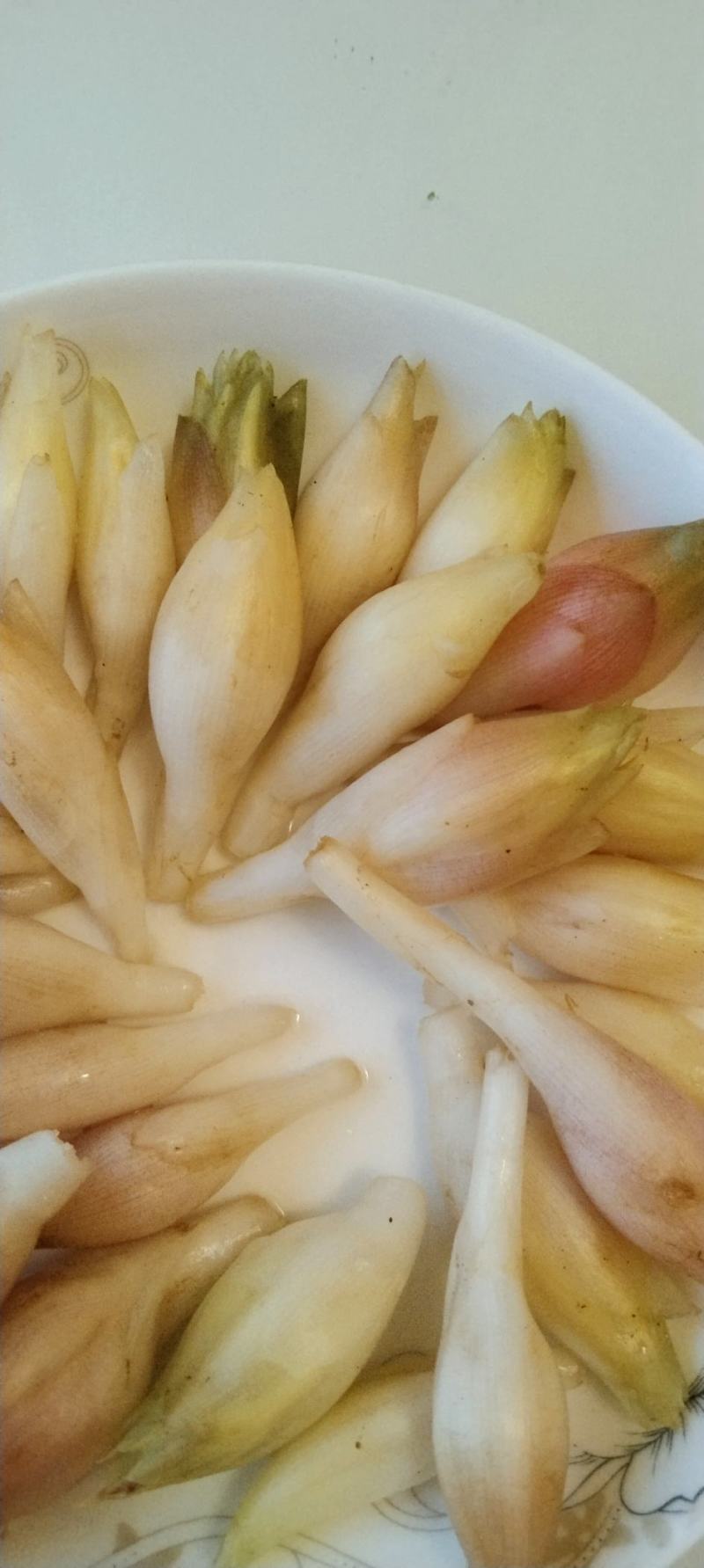 白阳荷又名青药荷，口感软嫩，清香