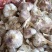 济南大青稞