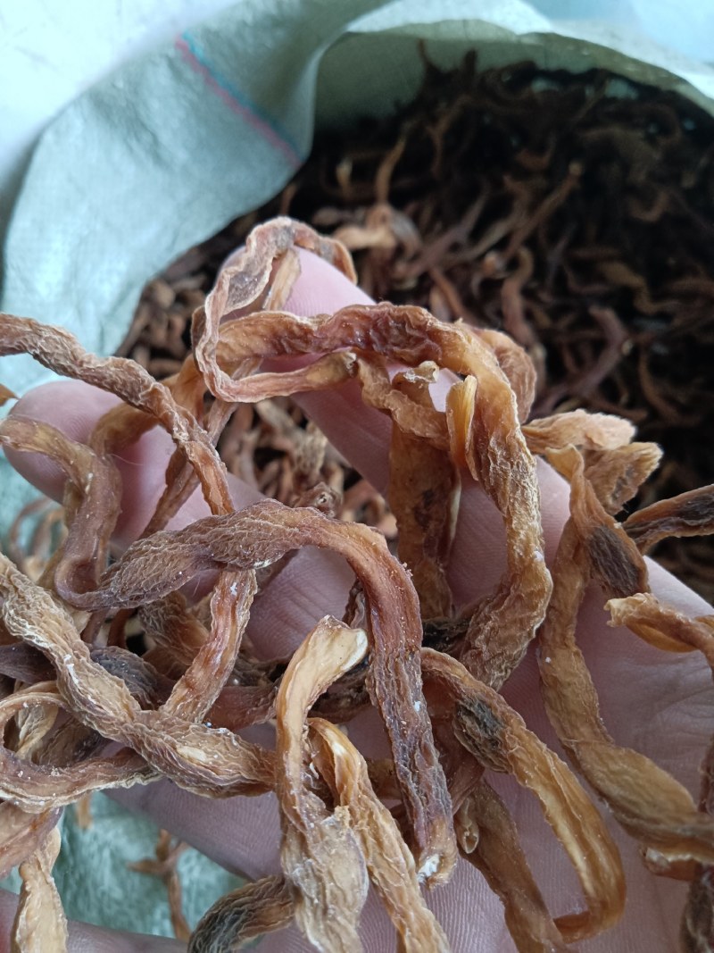 陕西，洋县干四季豆，味道纯正，口感筋道，颜色筋黄