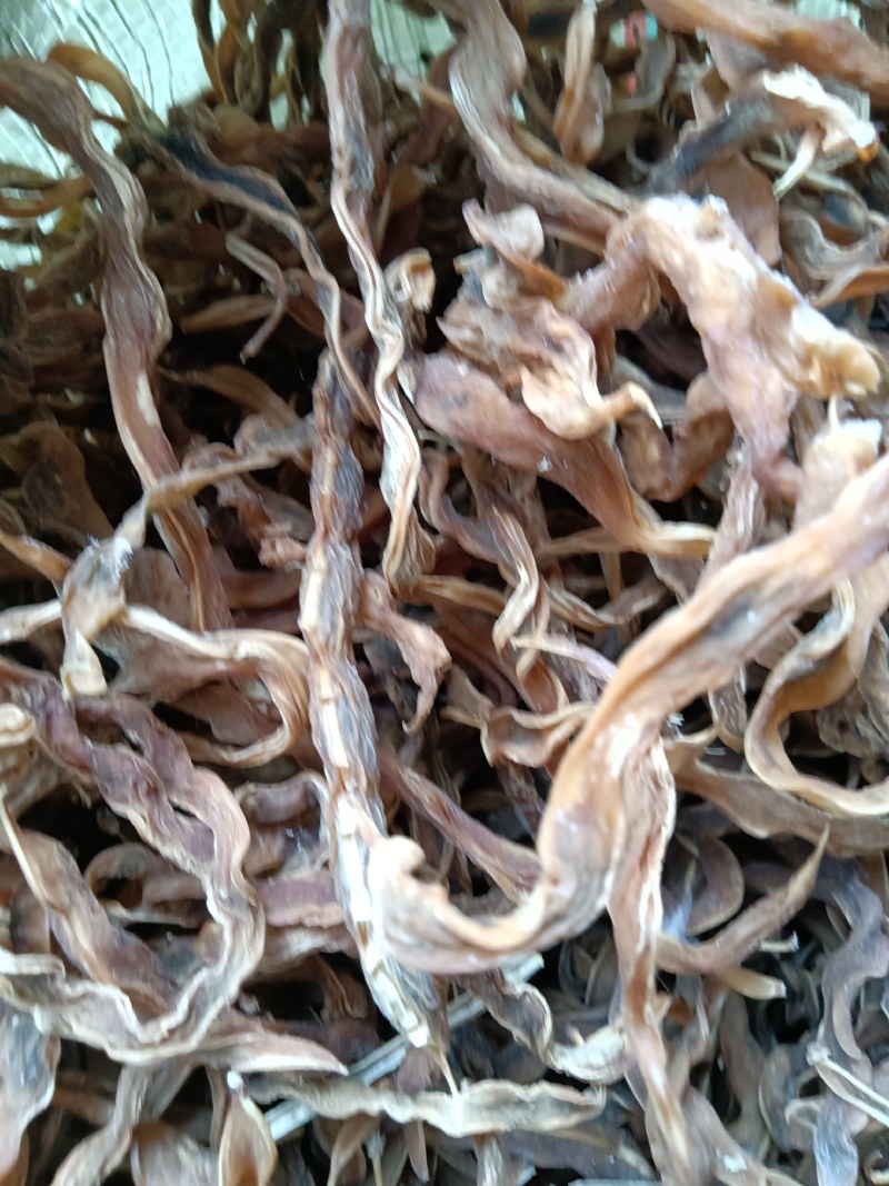 陕西，洋县干四季豆，味道纯正，口感筋道，颜色筋黄