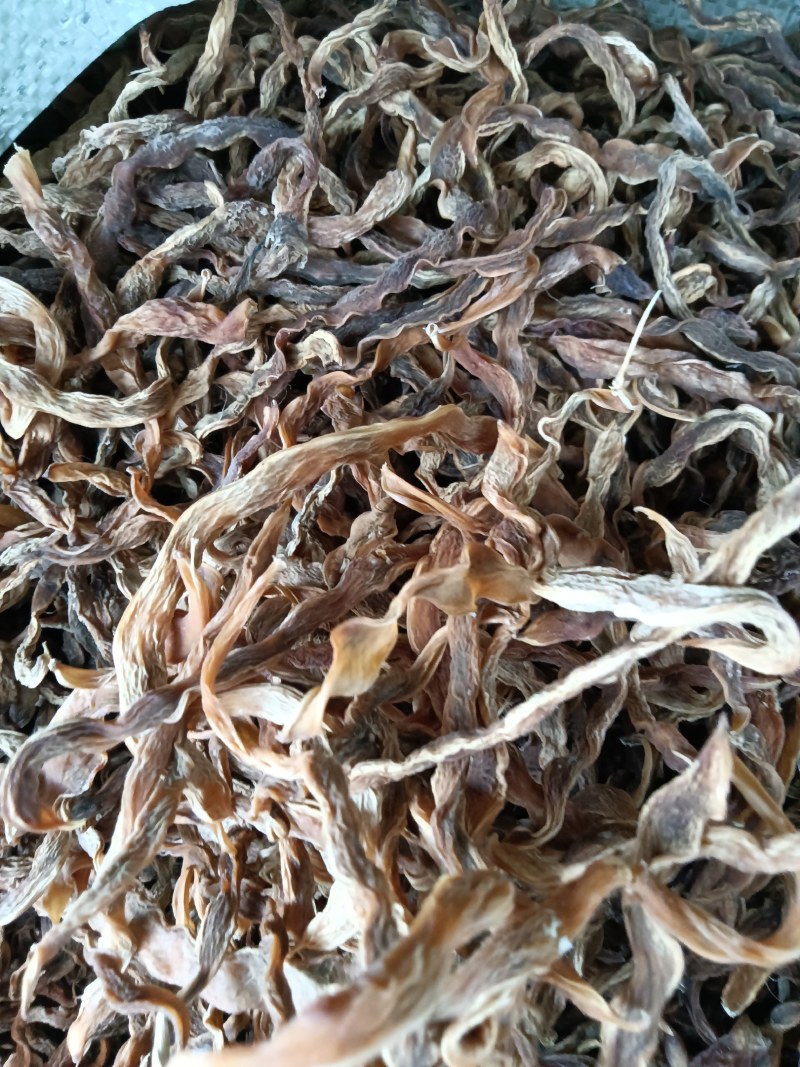 陕西，洋县干四季豆，味道纯正，口感筋道，颜色筋黄