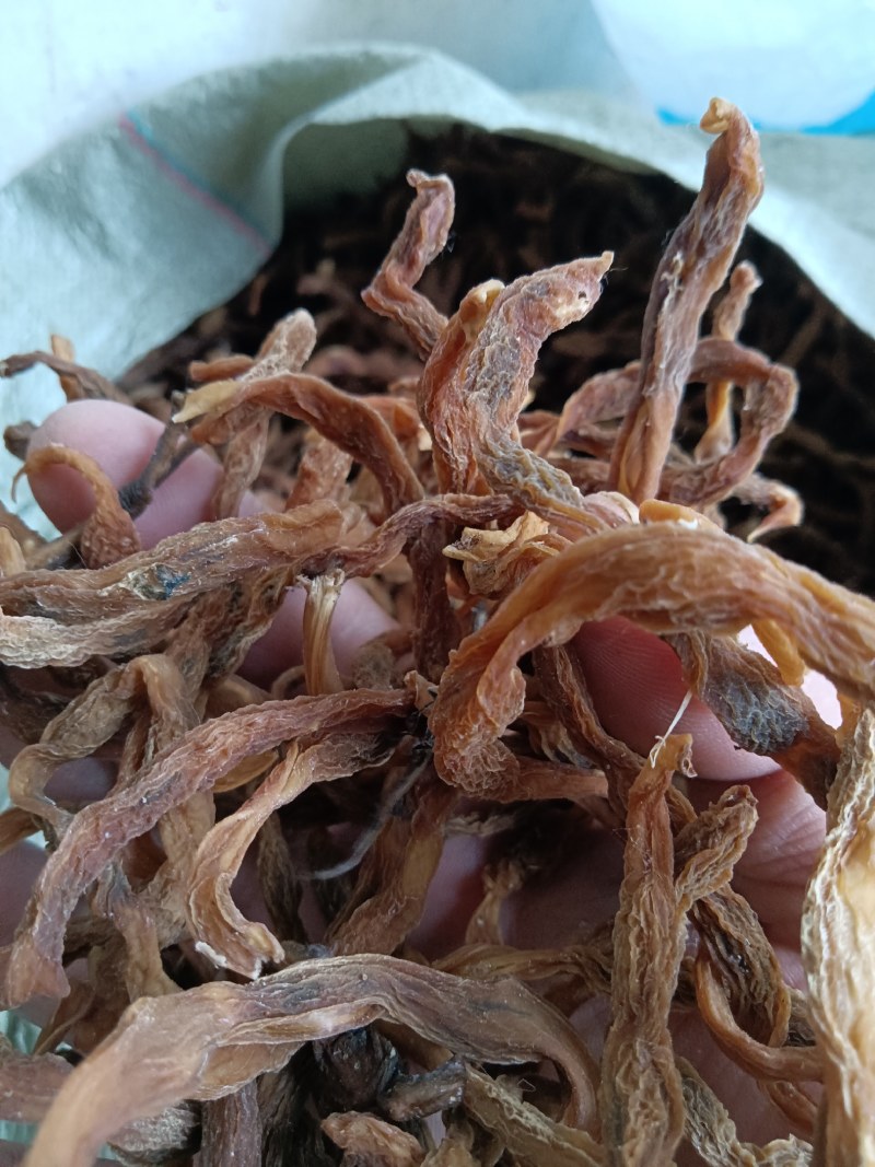 陕西，洋县干四季豆，味道纯正，口感筋道，颜色筋黄